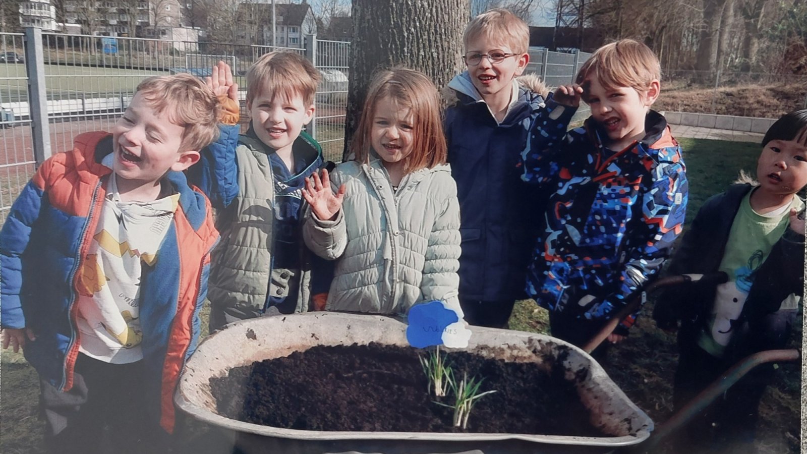 Kinder mit in einer Schubkarre gepflanzten Krokussen