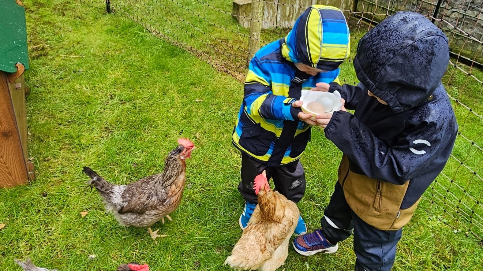 Kinder mit zwei Hühnern