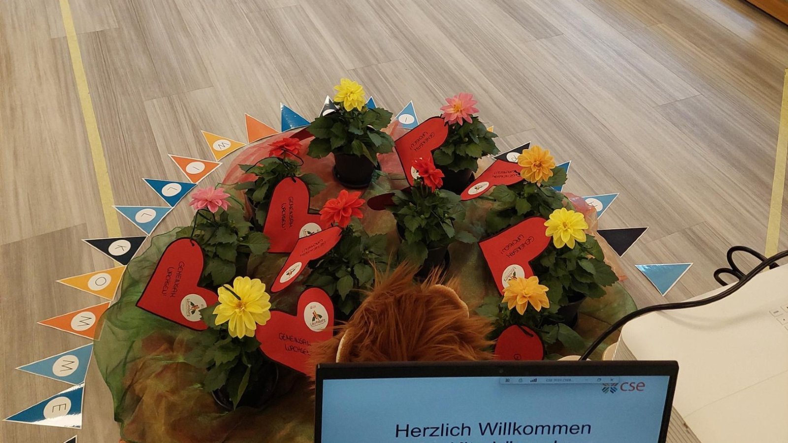 Willkommen in Löwenherz